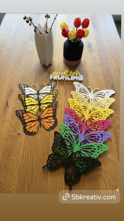 Schöne Schmetterlinge